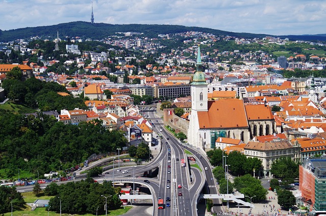 Jaký import zboží je pro Slovensko nejdůležitější z ekonomického hlediska?